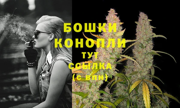 ECSTASY Новокубанск